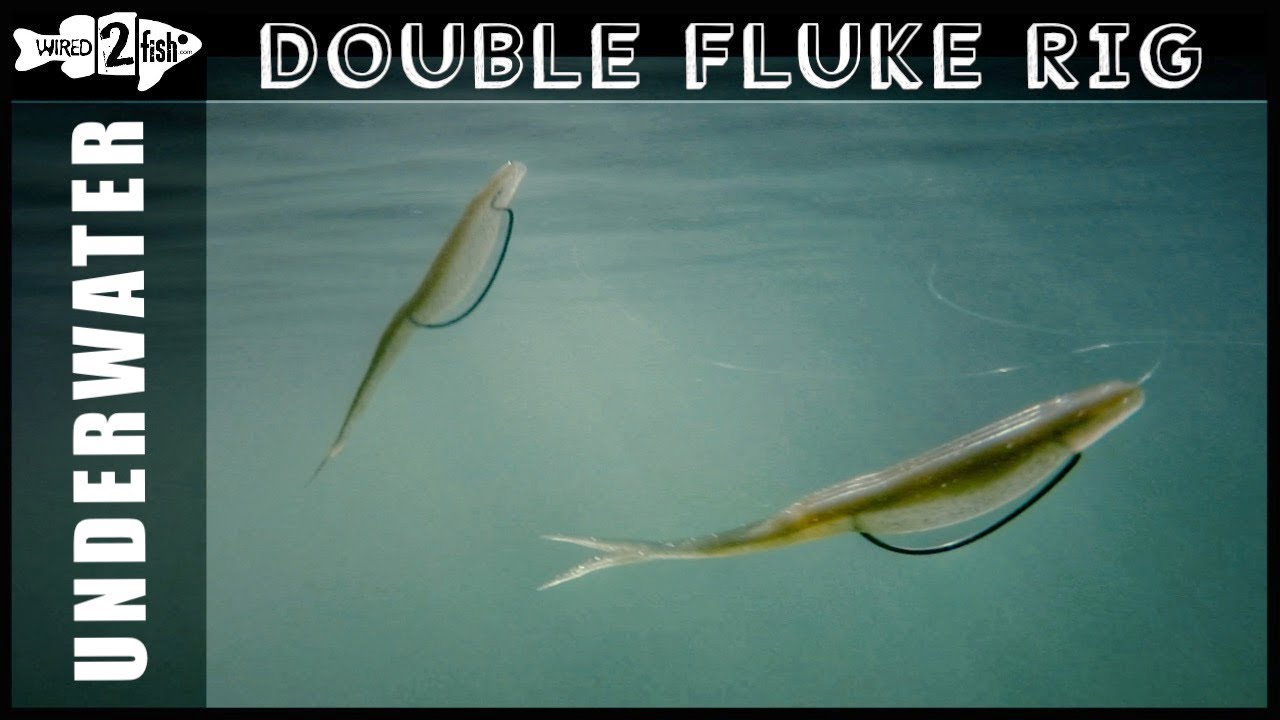 The Double Fluke Rig  What it Looks Like Underwater 
