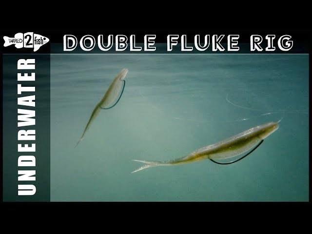 The Double Fluke Rig  What it Looks Like Underwater 