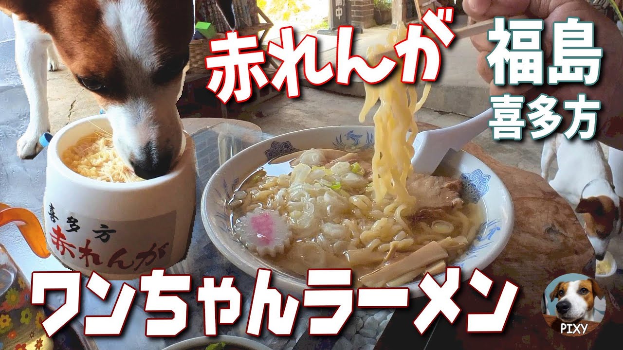 【喜多方ラーメン 赤れんが】ワンちゃんラーメンもある人気のラーメン屋🐶