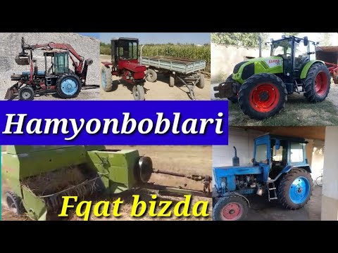 Video: Arxada Gedən Traktor, Motor-kultivatordan Nə Ilə Fərqlənir? Fərq Nədir? Bir Bağban üçün Bir Yay Iqamətgahı Seçmək üçün Daha Yaxşı Nədir?