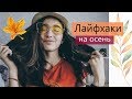 Осень/ЛАЙФХАКИ/ЕДА/самые обычные лайфхаки на осень/Sonik в шляпе