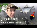 ВЕСЕННЯЯ ГУСТЕРА: поклёвкофобия и рыбобоулинг | Полавочная удочка | SPRING SILVER BREAM