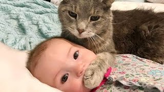 تجميعية مقاطع فيديو  اطفال و قطط  مضحكة جدا  - 😂😼 ستموت من الضحك ( جديد 2019 )