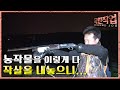 극한직업 - Extreme JOB, 멧돼지 포획단 제2부