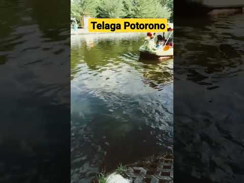 Desa wisata telaga Potorono
