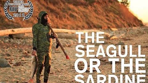 A Spearfishing story "the seagull or the sardine" ...