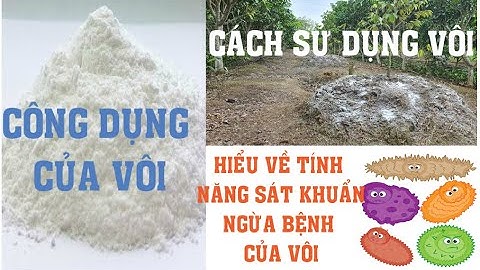 Nông dân cần biết-lợi ích của vôi và cách sử dụng vôi hiệu quả, hiểu về tính năng sát khuẩn của vôi