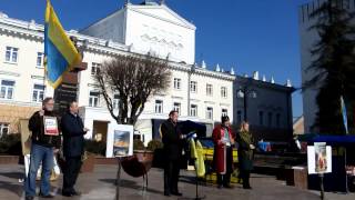 Резолюція про побудову пам&#39;ятника Тарасу Шевченку у Вінниці