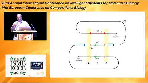 Keynote: Reversible DNA rearrangement as a switch....