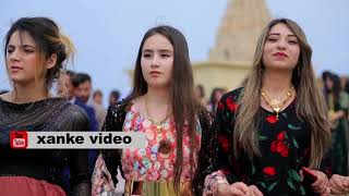 طوافا شيخ عنزروت ل شاريا 2018 /xanke video /twafa shekh enzerot li sharya طوافا شيخ عنزروت ل شاريا 2018 /xanke video /twafa shekh enzerot li sharya