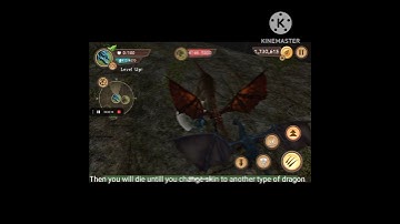 Glitch for dieing long