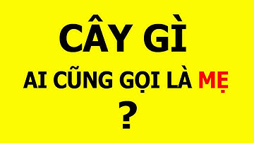 Các câu đố mẹo ngắn, hay khiến bạn bối rối