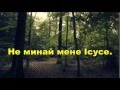 Не минай мене Ісусе (Християнське Караоке) Християнські пісні