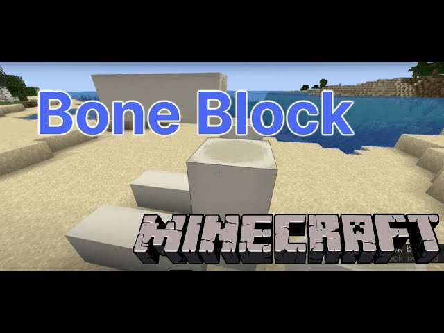 Bone Blocks - Minecraft Mod