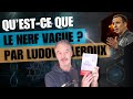 Ludovic leroux explique  le pouvoir mconnu du nerf vague