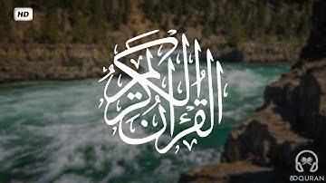 قرآن كريم بصوت مشاري العفاسي | حالات واتس اب دينية - سورة البقرة