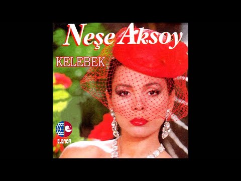 Neşe Aksoy - Sevmek İstiyorum