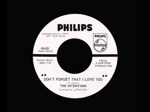 The Intentions - Don't Forget That I Love You