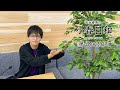 石谷春貴の小春日和 #48