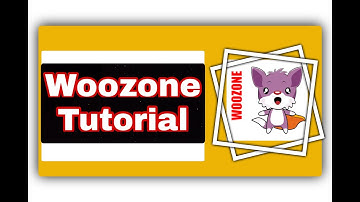 How to Use Wzone Plugin - Amazon Affiliate | WooZone Amazon Affiliate Tutorial | Wzone Plugin Setup