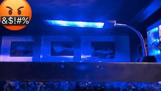 Can I leave Blue Aquarium Light on all Night?
