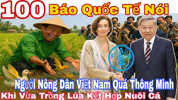 “🔥Thế giới kinh ngạc Nông dân Việt biến ruộng lúa thành mỏ vàng vừa nuôi cá trồng lúa kiếm tiền x10
