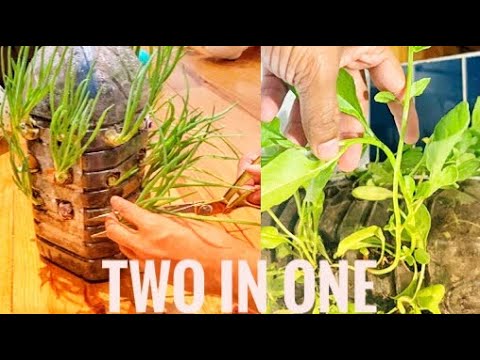 Don't throw away unnecessary plastic bottles! Believe me, they will still be useful to you!