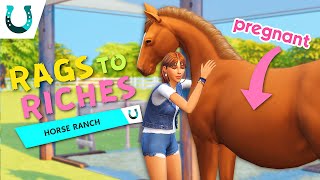 WELCOMING OUR FIRST FOAL TO THE FAMILY 🐴🍼 | Sims 4 Horse Ranch Gameplay