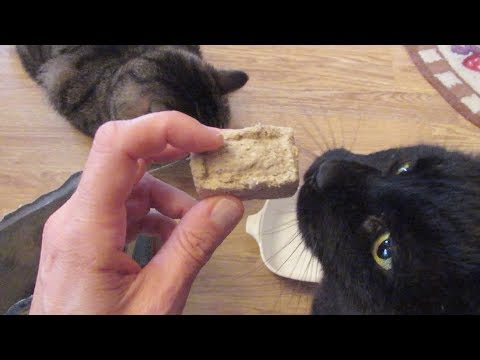 فيديو: طعام قطط مجفف بالتجميد