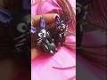 Try this!😮handmade cats🐱🐈‍⬛🐈#shorts #viral #diy #clayart #craftideas #homedecor #handmade