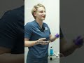 "Мало великих собак, які можуть задонатити достатню кількість крові":  про донорство у тварин