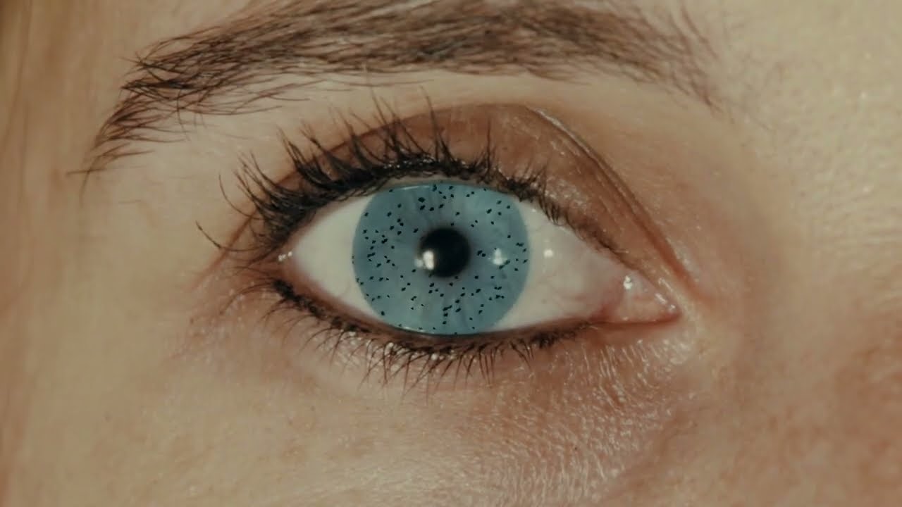 Inui - Murmuration (Mazeto Square)