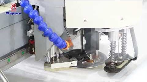 Richpeace Automatic Multi-Layer Cutting Machine