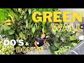 I designed an new  greenwall system  what could go wrong