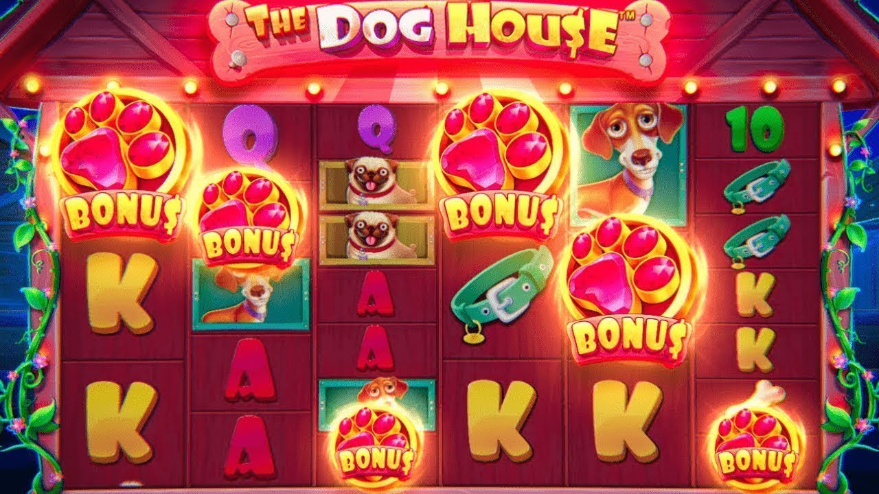 Дог хаус мегавейс dogs house net. Dog House слот. Казино слоты дог. The Doghouse казино слот. Слот House megaways.