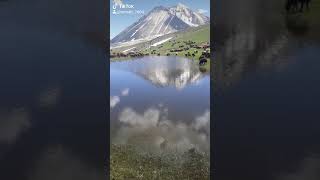 Kars Ağrı Erzurum Yaylaları Mor Koyun