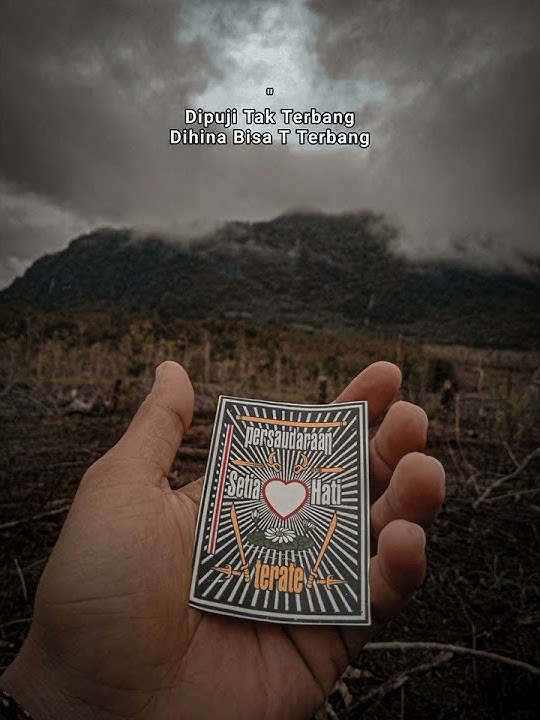 STORY WA PSHT KEKINIAN || STORY WA PSHT KEREN  #psht  #shorts
