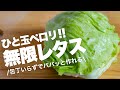 【簡単5分】箸が止まらん!無限レタスレシピ
