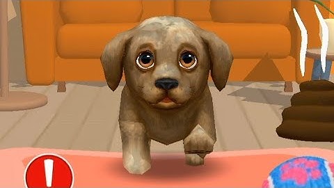 Dog Run game 🐕| Dog Run Puppy Racing Android Gameplay - New Dog Run Game|Pet Dog Simulator 3D Game||
