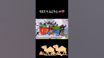 Eri camels 🇪🇷🇪🇷#eritrea #eritreanmusic #habesha#biniamgirmay#cycling#shorts#neweritreanfilm#eritrean
