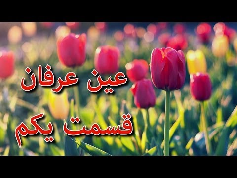 تصویری: شناخت به عنوان یک تجربه