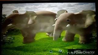 Tf Magical Event S4 Dancing Bear