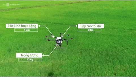 Nông dân 40 Dùng máy bay phun thuốc trên ruộng lúa ở miền Tây