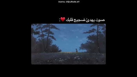 قرآن كريم بصوت سلمان العتيبي 🍁ارح سمعك / حالات واتس اب اسلامية / ستوريات انستا