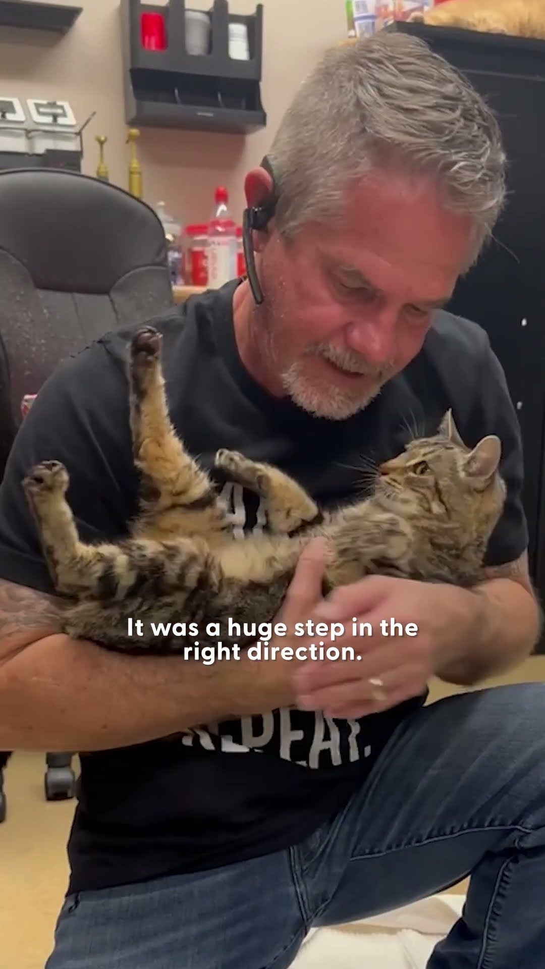 This Cat Is An Actual Miracle | The Dodo