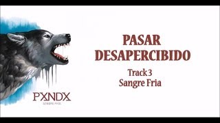 Pasar desapercibido - Panda (Letra) HD chords
