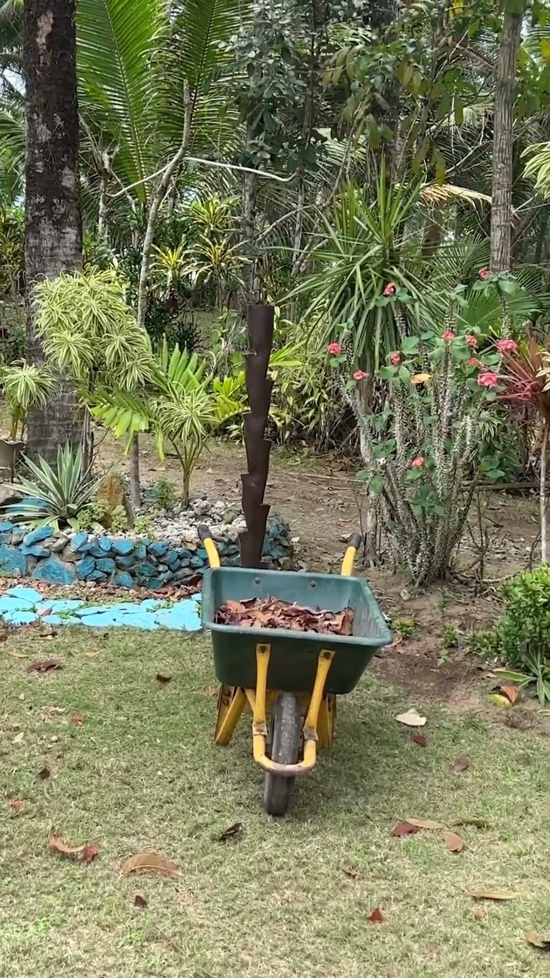 Can you find it?! #kidsfun