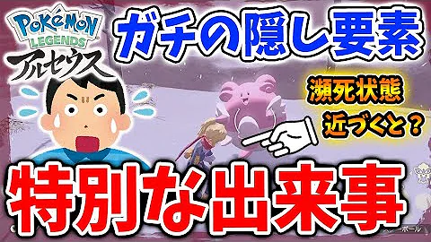 ハピナス