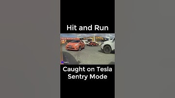 Hit and Run Caught on Tesla Sentry Mode | TeslCam Live
