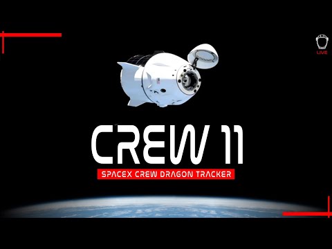 SCRUB] SpaceX Crew 11 Dragon Tracker - YouTube
